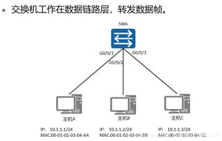 HCIA安全认证笔记（四） 常见网络设备详解